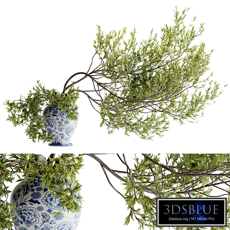 Tree branch bouquet in a celadon pot