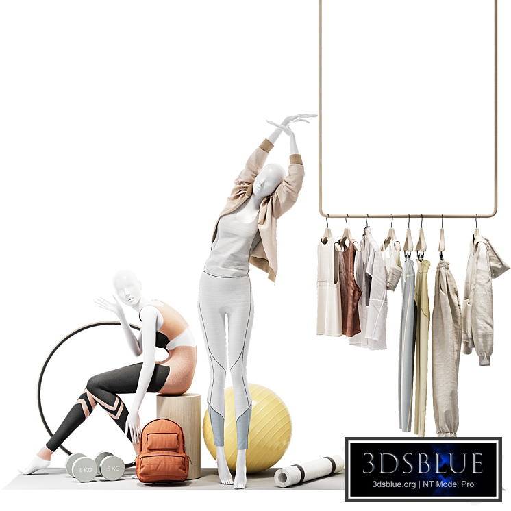 Showcase for a sports store