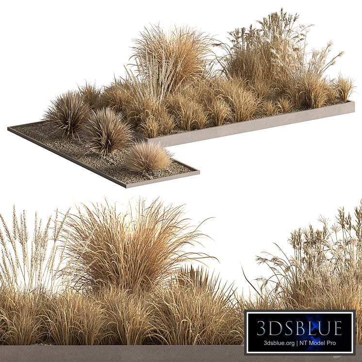 Plant Box - Outdoor Dry Bushes 687