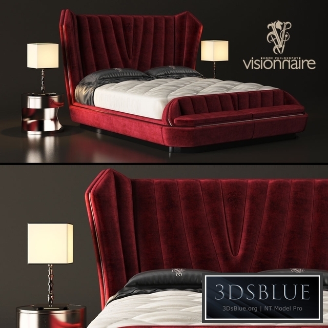 Visionnaire Hemingway