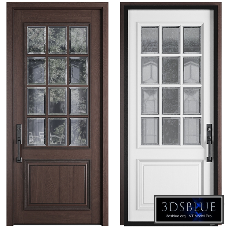 Entrance door staleks classic 45