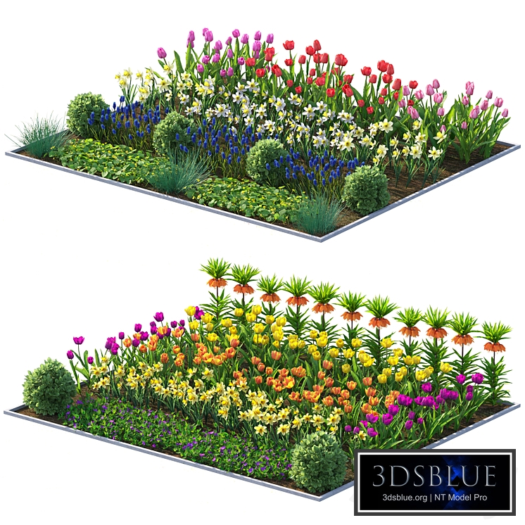 Flower garden 11