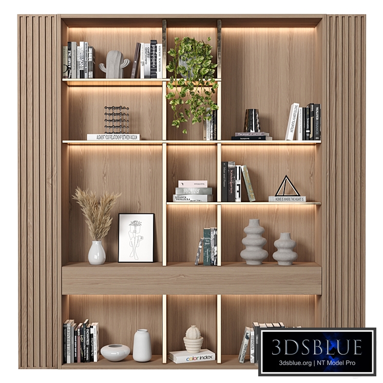 Rack and Bookcase 164