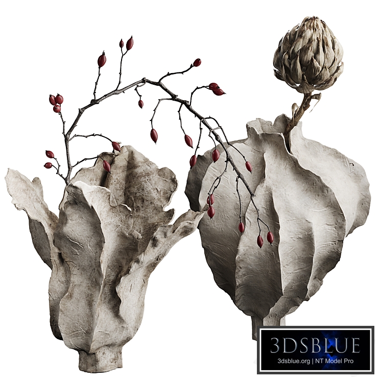 Vases with dried flowers, branches and berries