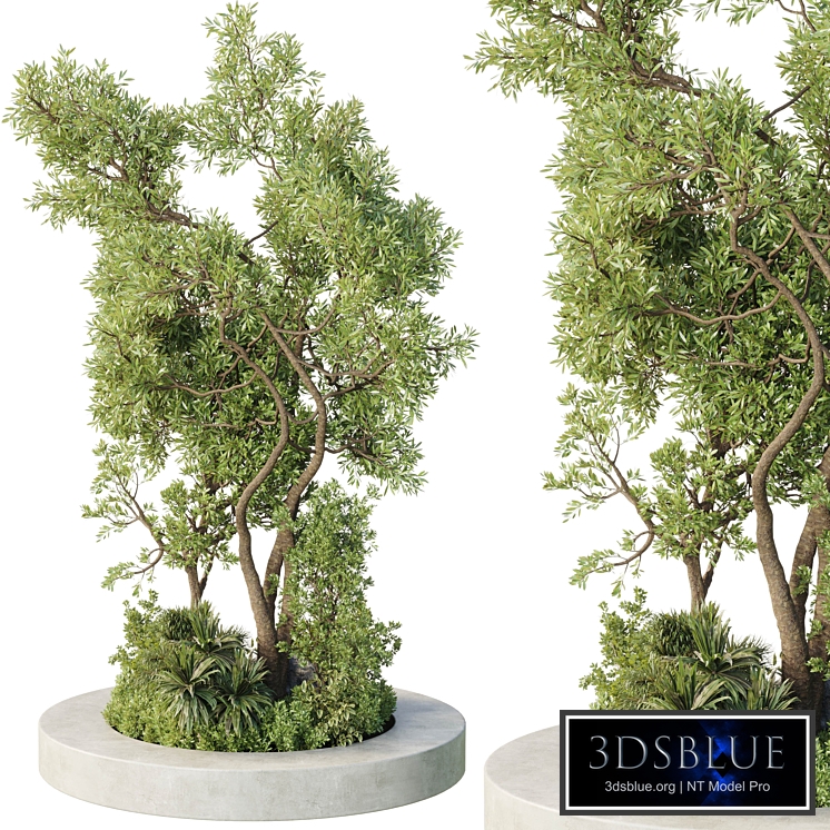 Circle Garden Plants - Outdoor Plant set 242