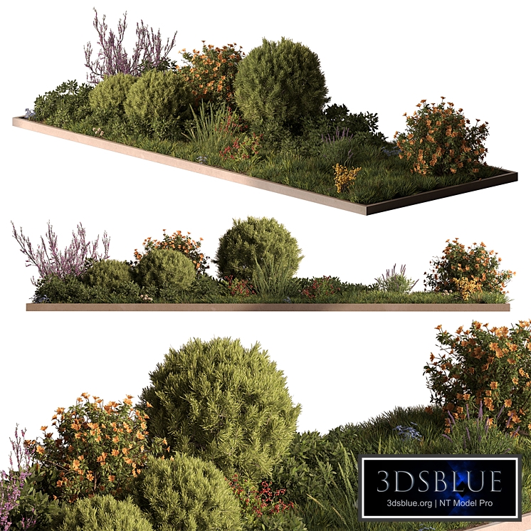 Garden Plants - Outdoor Plants 716