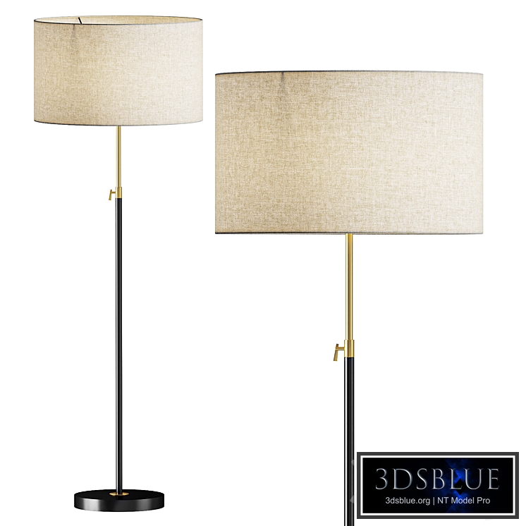 Telescoping Adjustable Floor Lamp