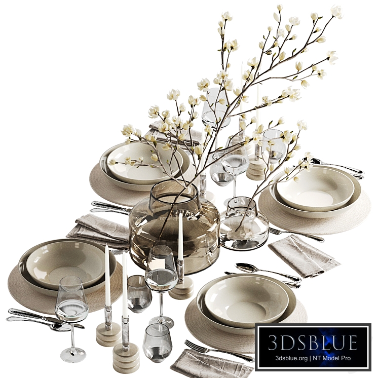 Table setting 96