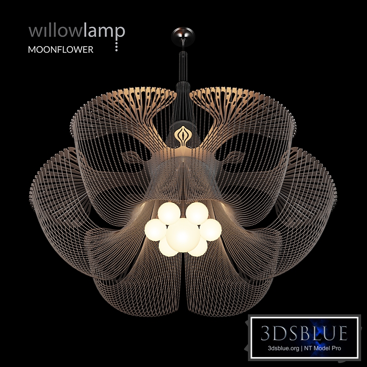 Willowlamp Moonflower