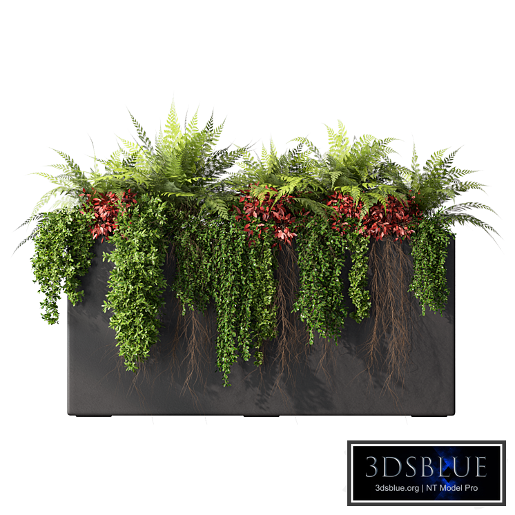 Outdoor Garden Plant Set.160