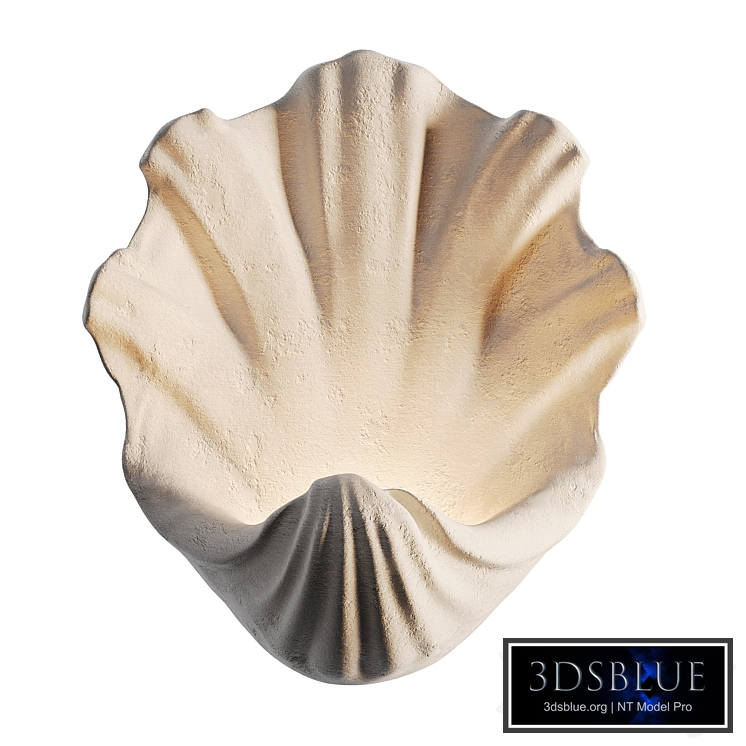 Scallop Shell Wall Light | Porta Romana