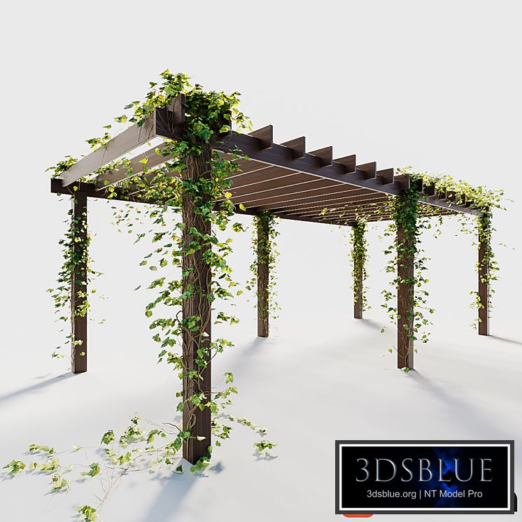 Pergola with ivy
