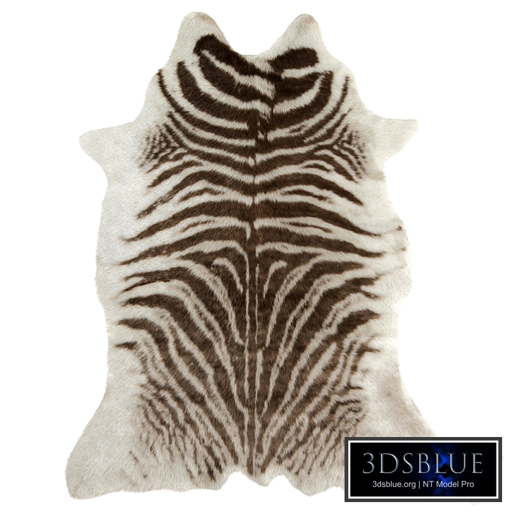 Zebra Animal Print Indoor Rug