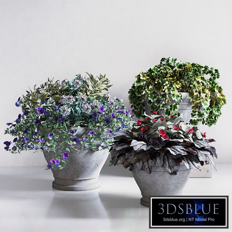 Pottery Barn / Bryttany Planters