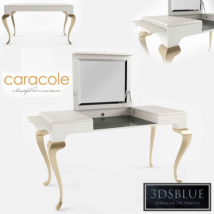 Caracole - con-contab-009