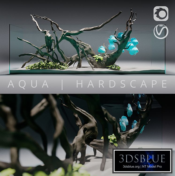 Aquarium | Hardscape