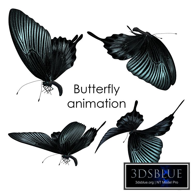 Butterfly animation