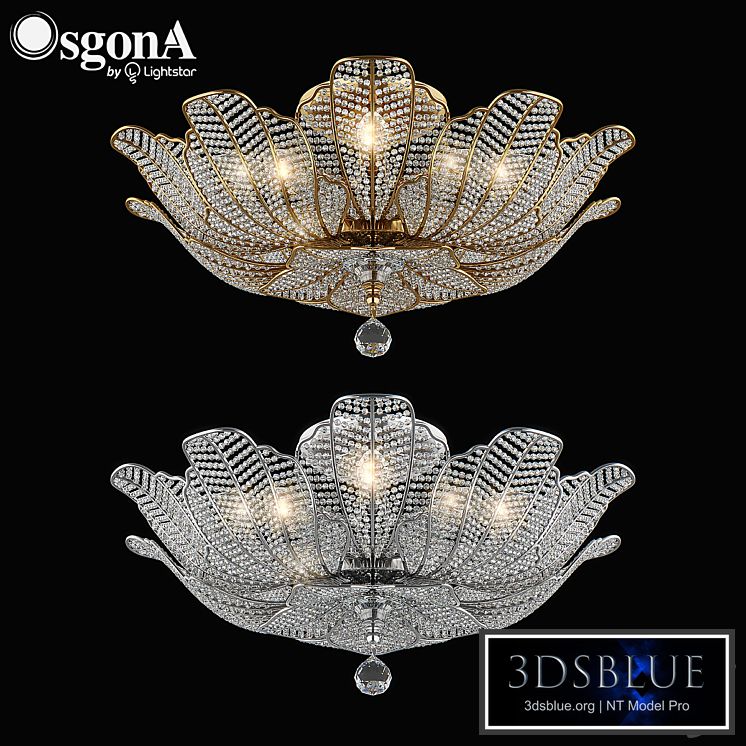 70513x_Riccio_Osgona