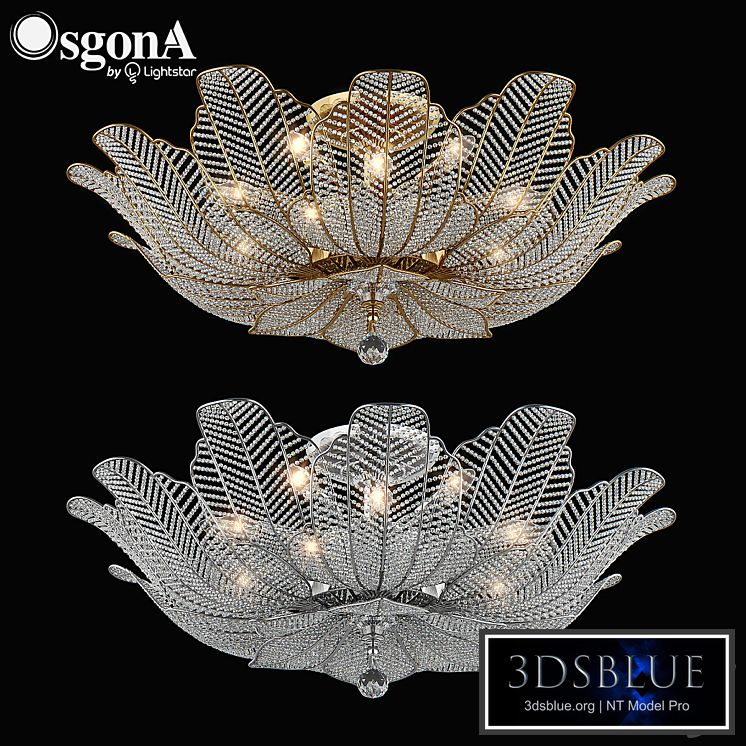 70518x_Riccio_Osgona