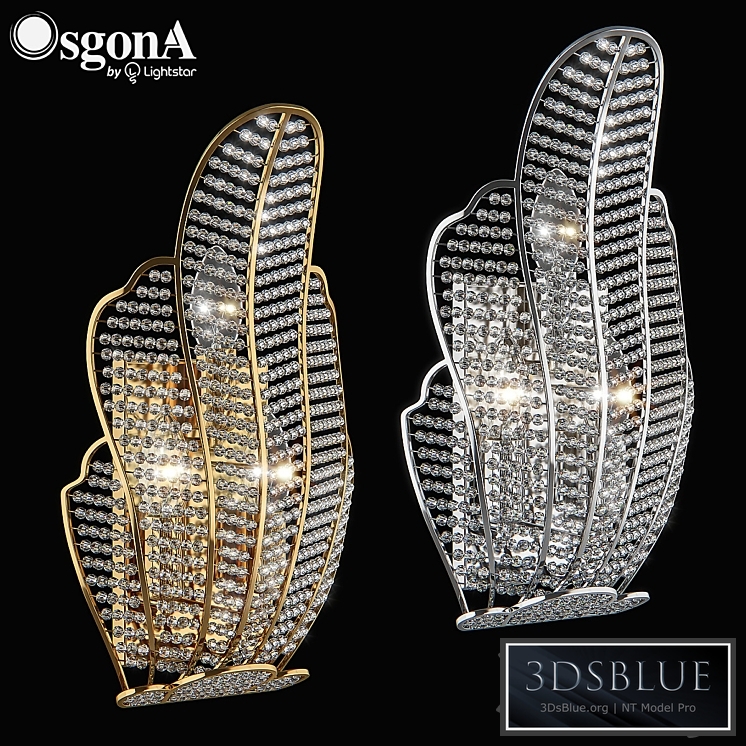 70563x_Riccio_Osgona