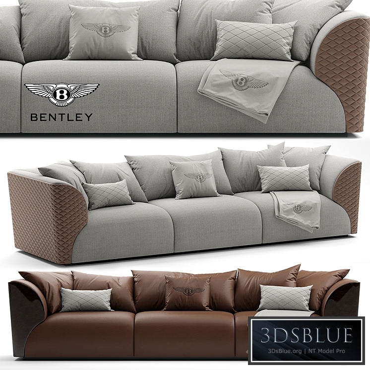 Sofa Bentley Home Winston Sofa