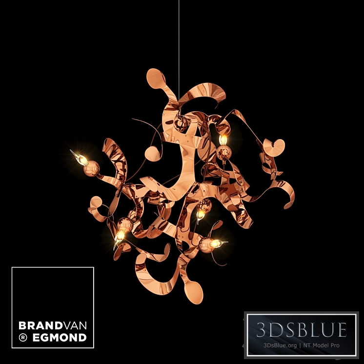 Brand Van Egmond Kelp