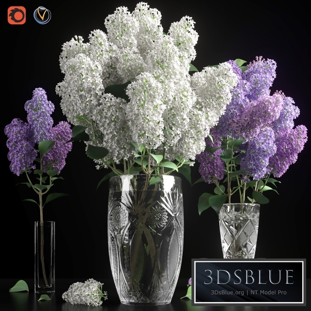 LILAC 3 in 1 / LILAC