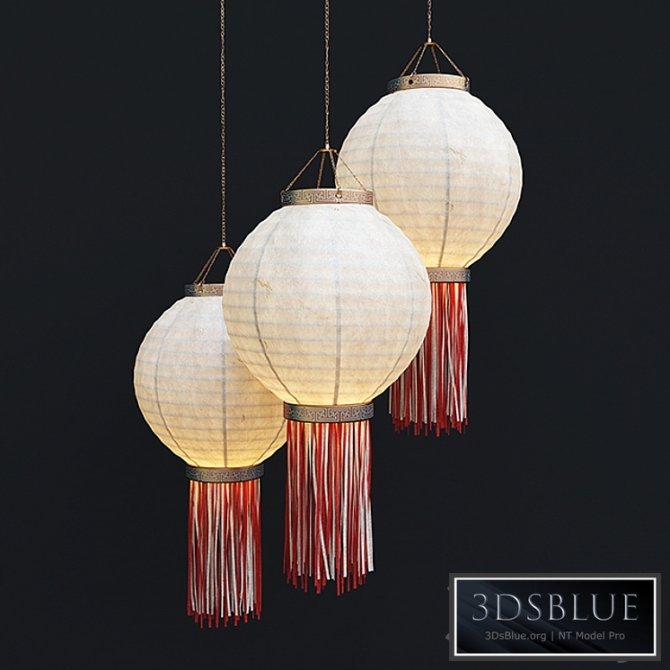 Chinese lantern Chinese lantern