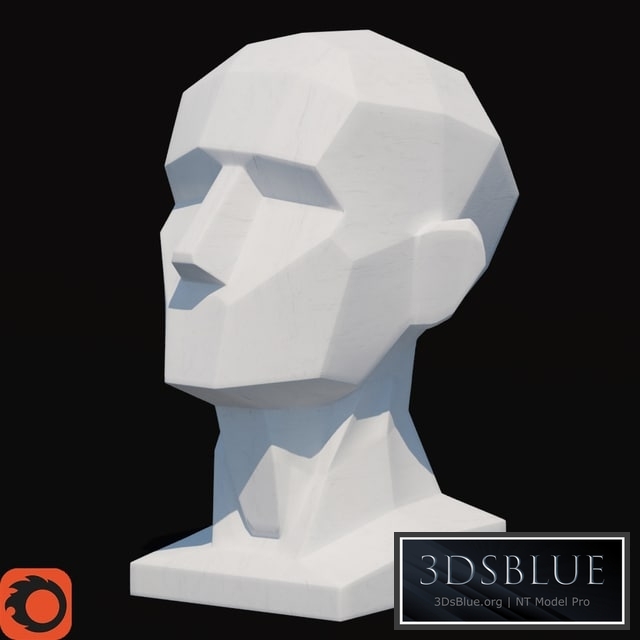 Plaster head obrubovka