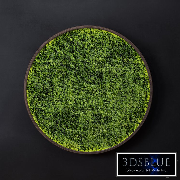Moss wall disk