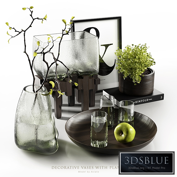 Decorative vases with plants