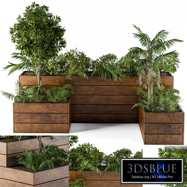 Outdoor Plants-Flower Box 2